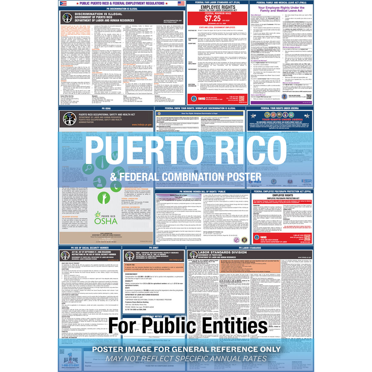 2026 Puerto Rico & Federal Public Entities Combination Poster