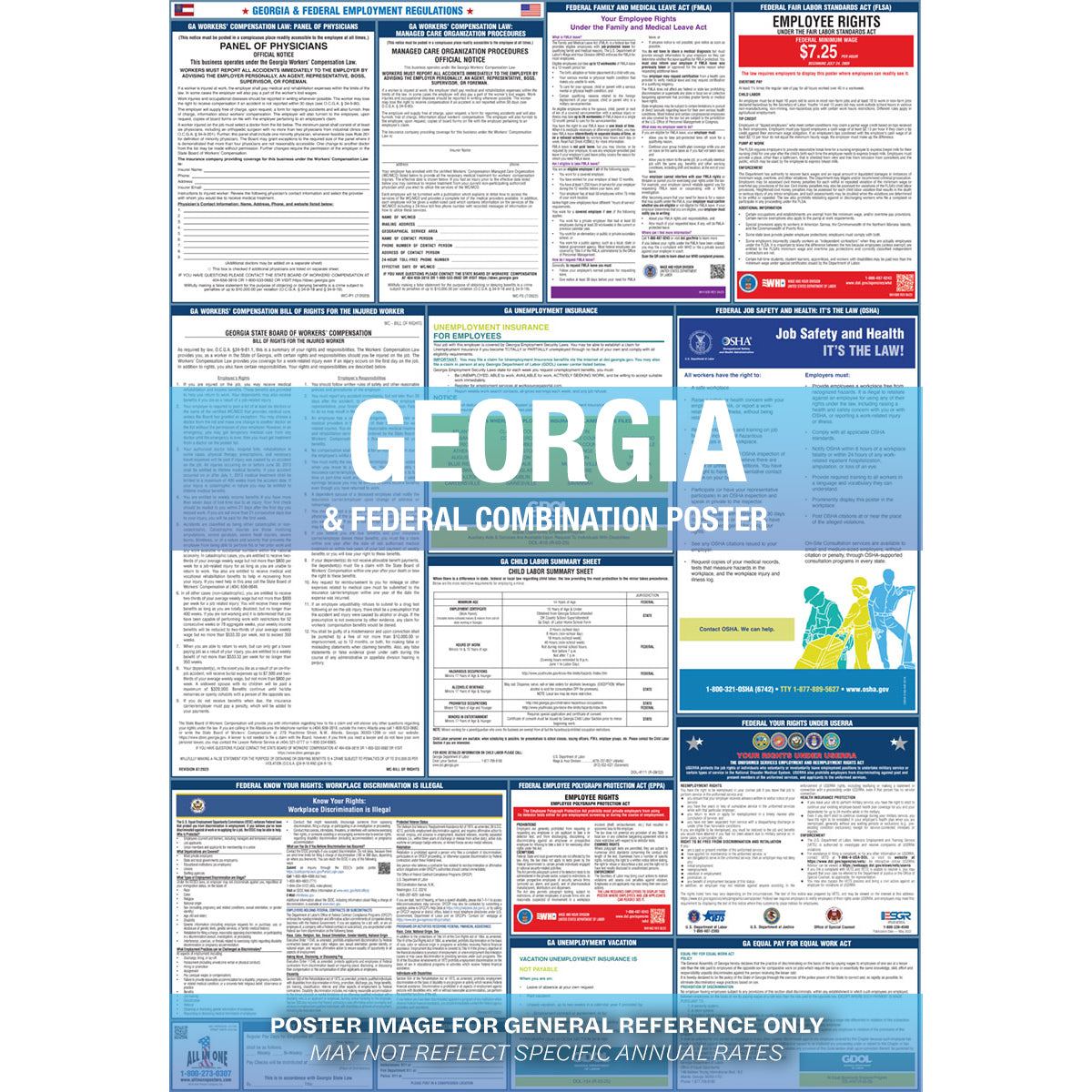2026 Georgia & Federal Combination Poster