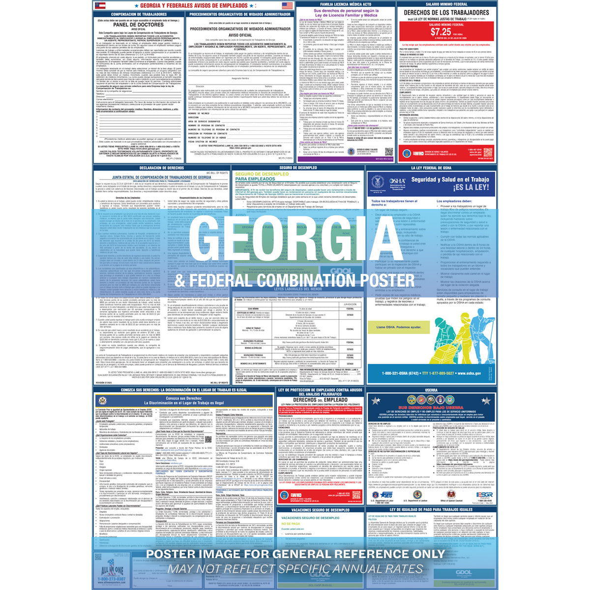2026 Georgia & Federal Combination Poster