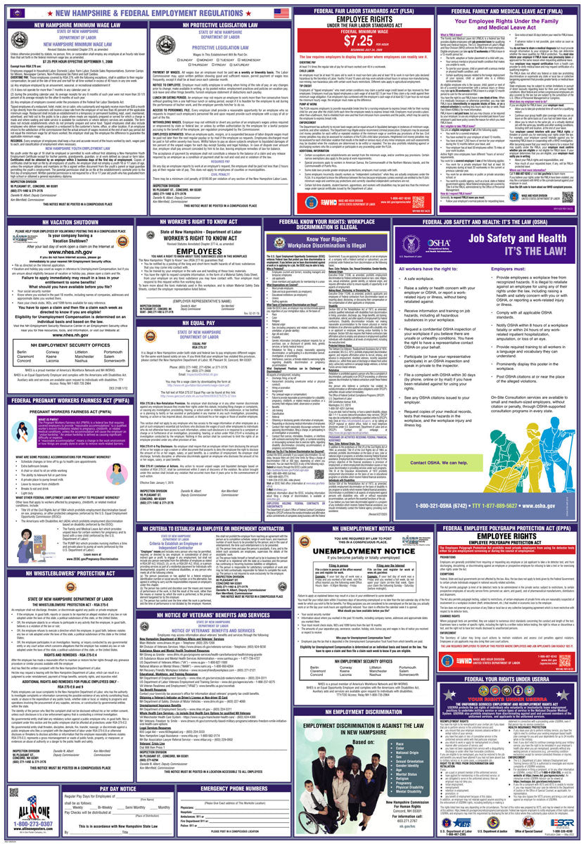 2026 New Hampshire & Federal Combination Poster