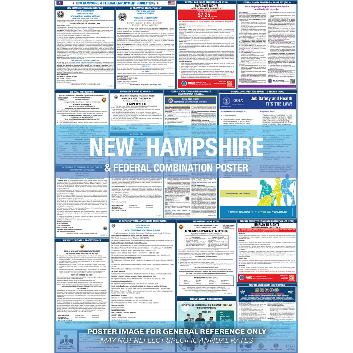 2026 New Hampshire & Federal Combination Poster
