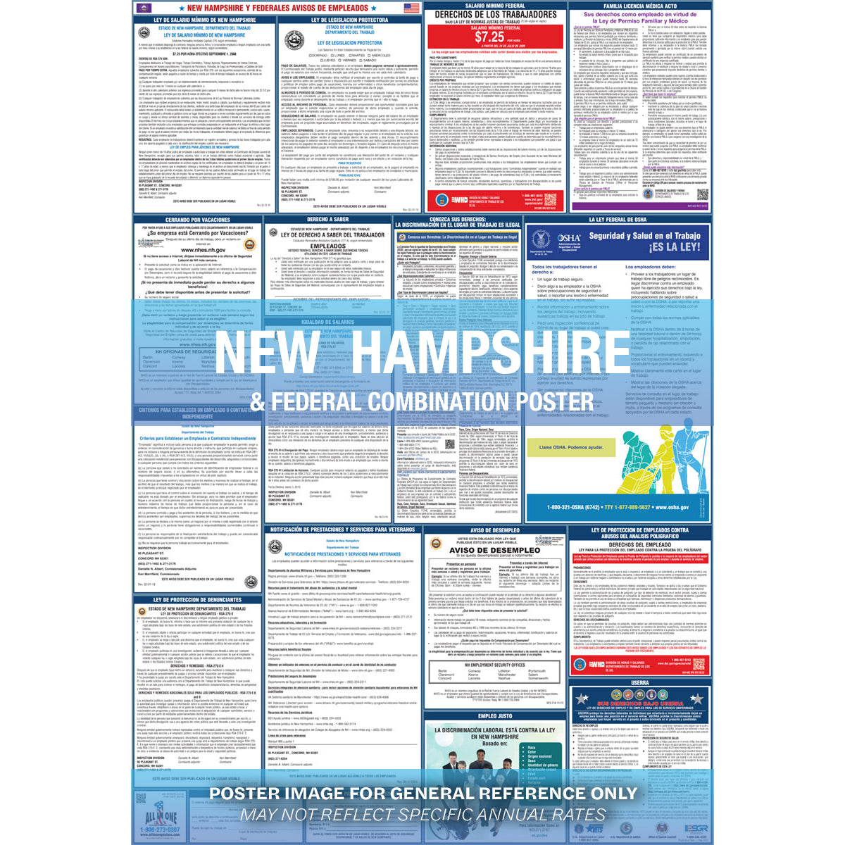 2026 New Hampshire & Federal Combination Poster