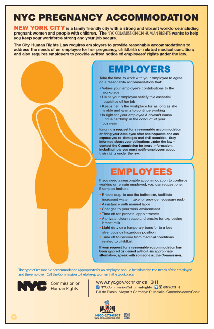 New York City Pregnancy & Employment Rights Labor Law Poster | Local ...