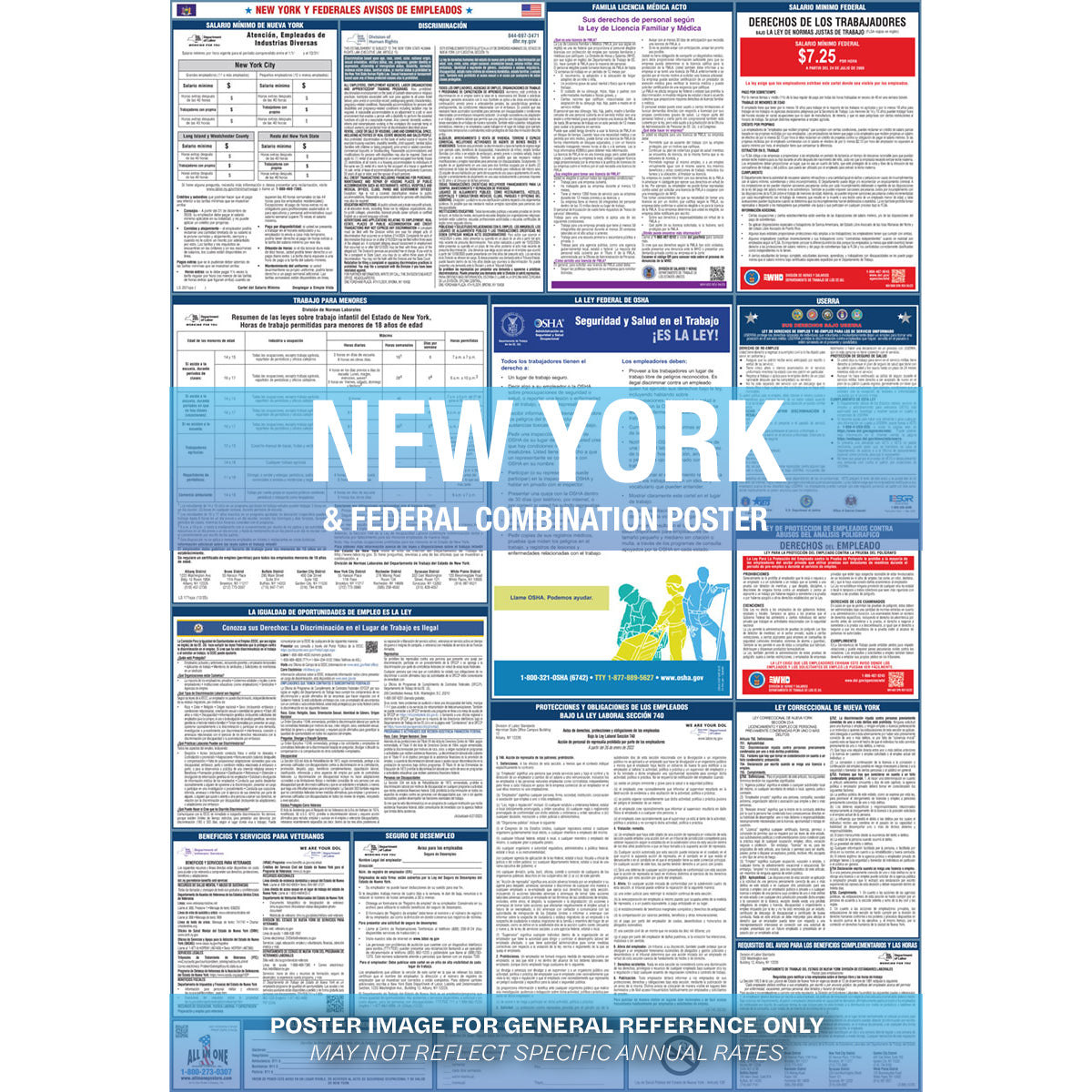 2026 New York & Federal Combination  Private Business & Organizations Poster