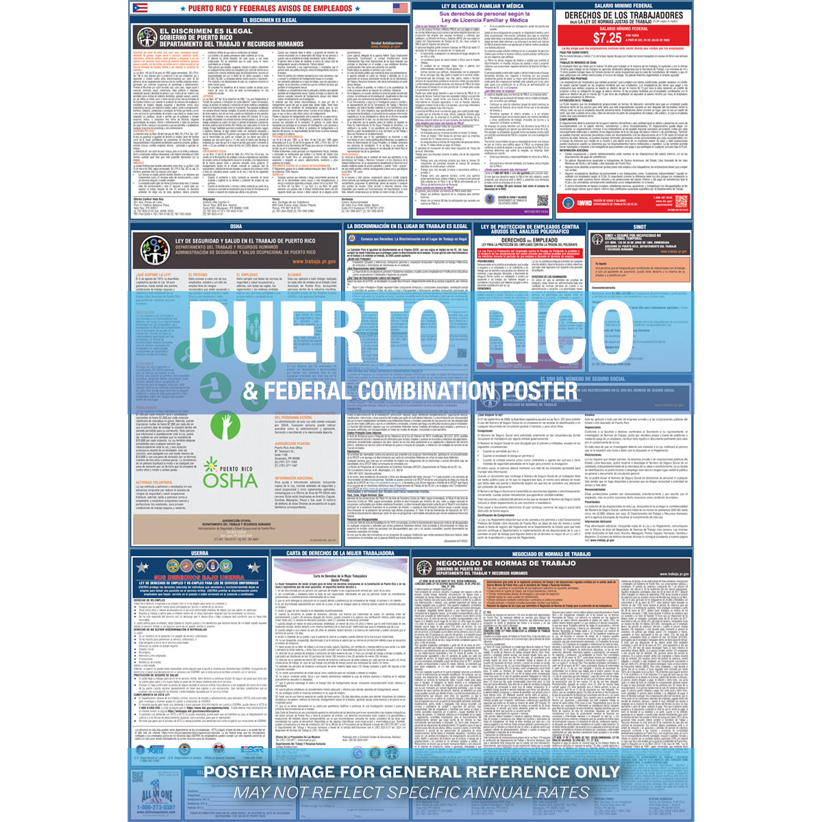 2026 Puerto Rico & Federal Combination Private Business & Organizations Poster