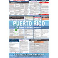 2026 Puerto Rico & Federal Combination Private Business & Organizations Poster