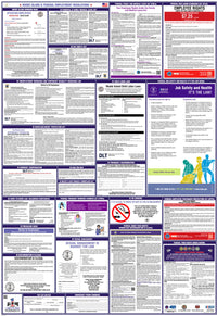 2026 Rhode Island & Federal Combination Poster