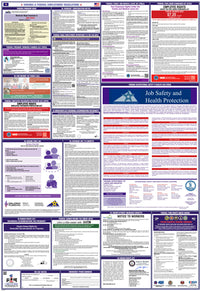 2026 Virginia & Federal Combination Poster