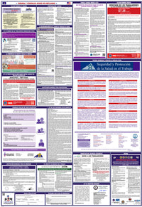 2026 Virginia & Federal Combination Poster