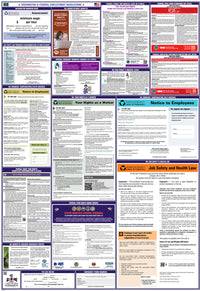 2026 Washington & Federal Combination Poster