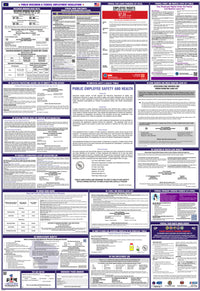 2026 Wisconsin & Federal Combination Public Entities Poster