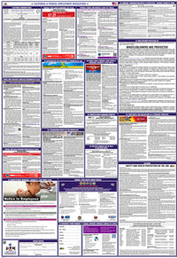 2026 California & Federal Combination Poster