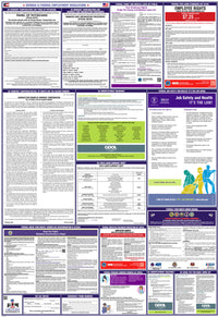 2026 Georgia & Federal Combination Poster