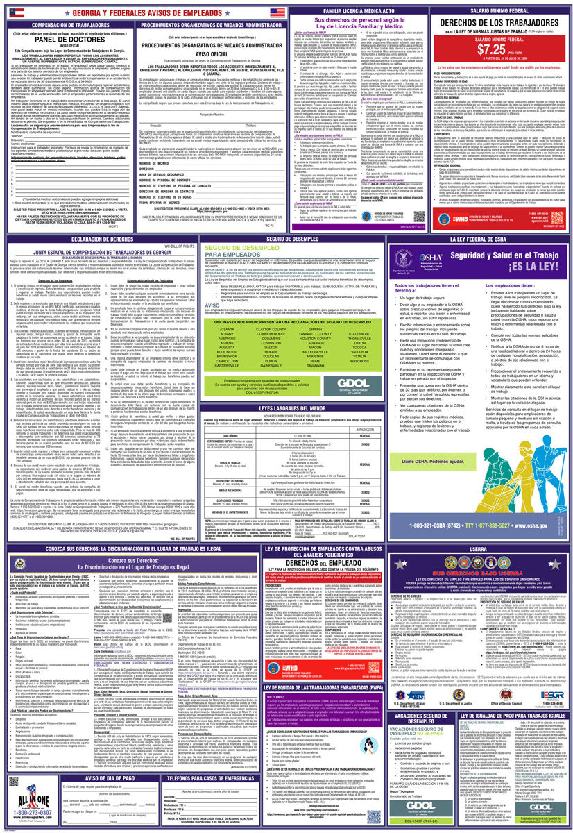 2026 Georgia & Federal Combination Poster