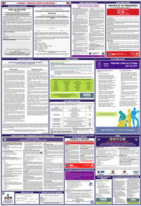 2026 Georgia & Federal Combination Poster