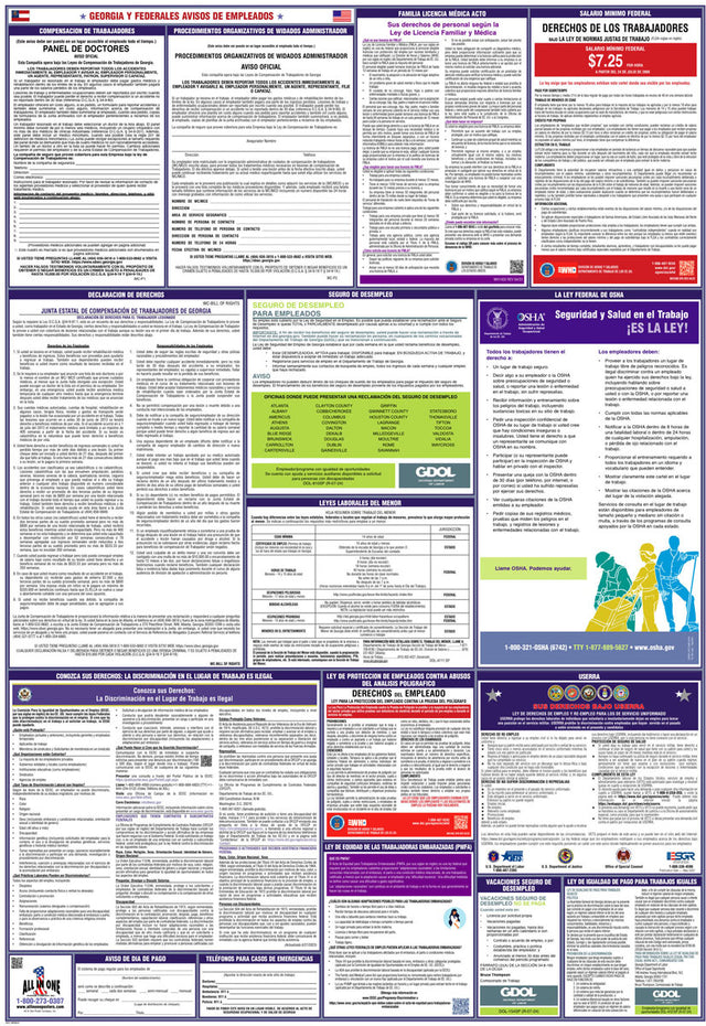 2026 Georgia & Federal Combination Poster