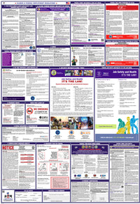 2026 Illinois & Federal Combination Poster