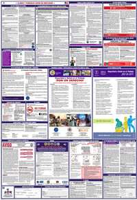 2026 Illinois & Federal Combination Poster