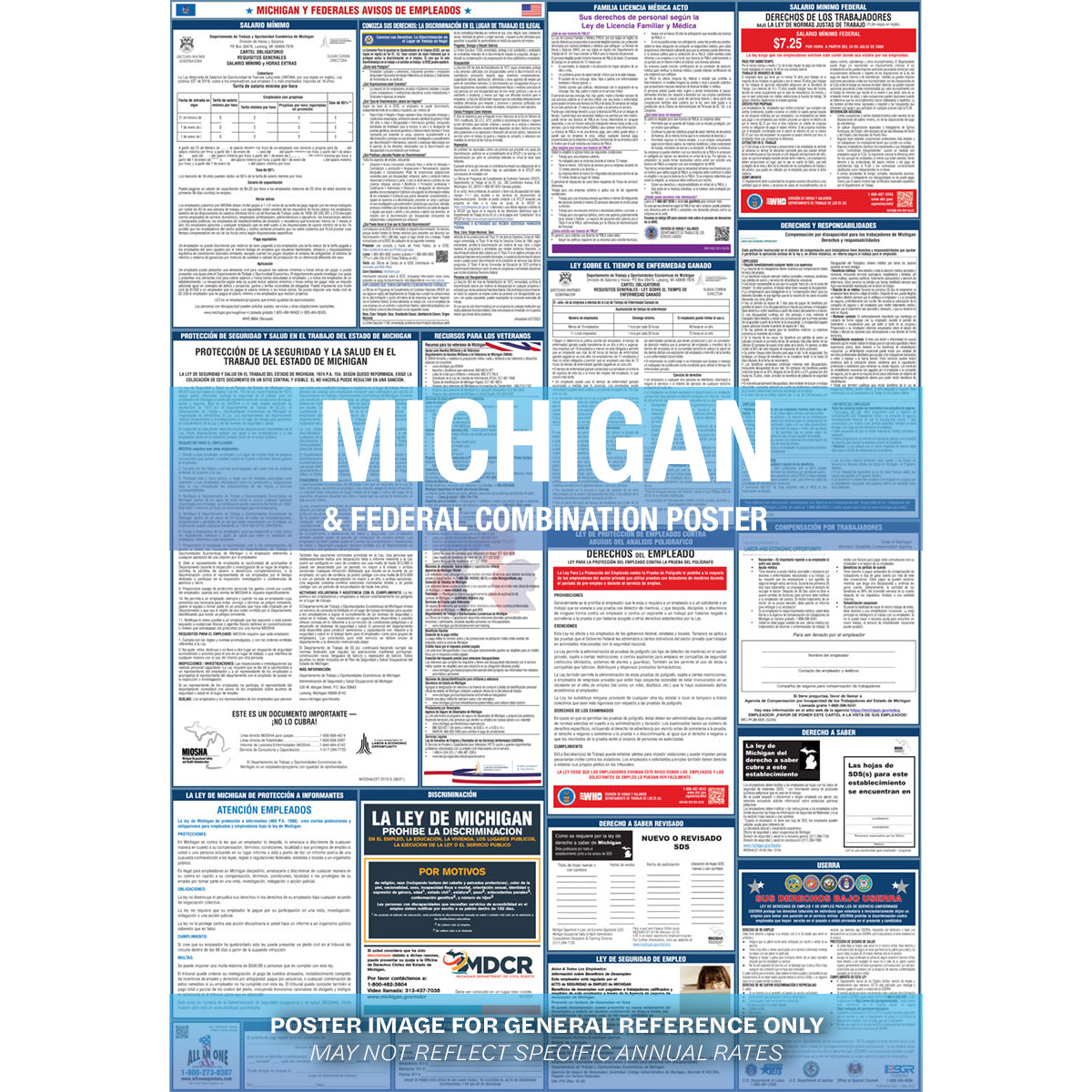 2026 Michigan & Federal Combination Poster