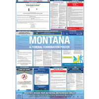 2026 Minnesota & Federal Combination Poster