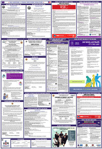 2026 New Hampshire & Federal Combination Poster