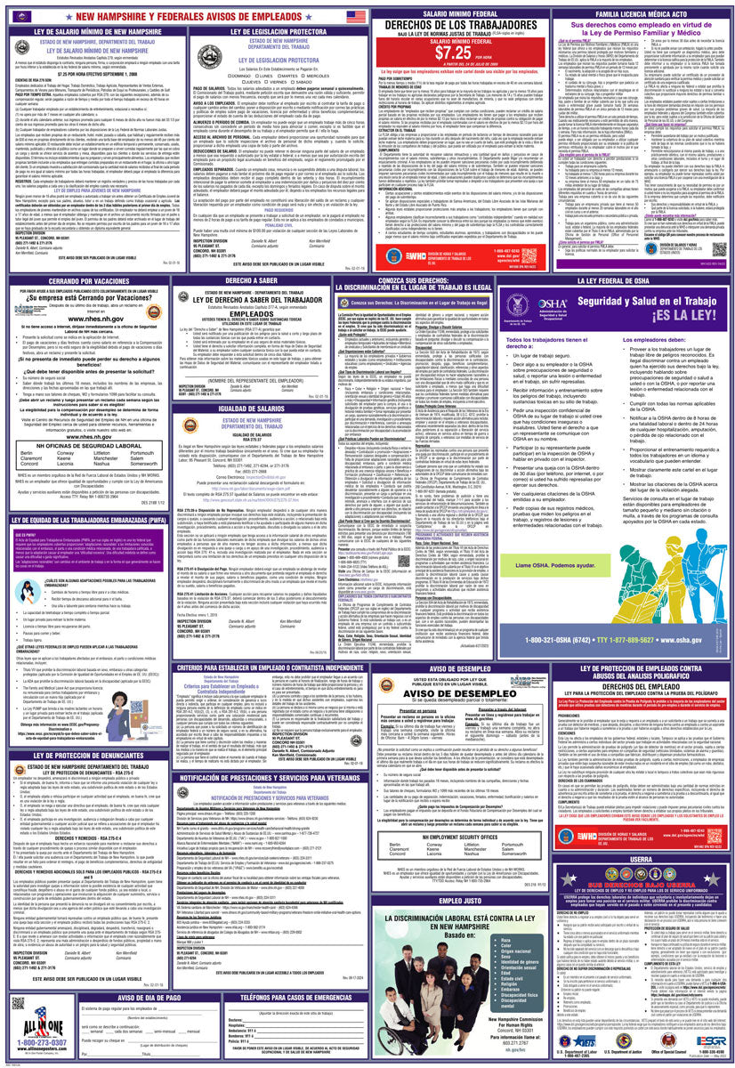 2026 New Hampshire & Federal Combination Poster