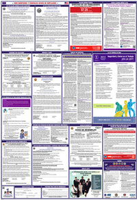 2026 New Hampshire & Federal Combination Poster